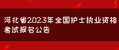 河北省2023年全国护士执业资格考试报名公告(图1)