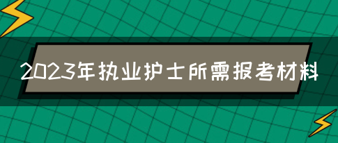 2023年执业护士所需报考材料(图1)