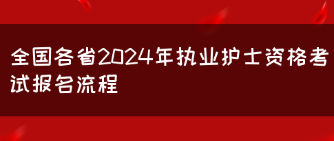 全国各省2024年执业护士资格考试报名流程(图1)