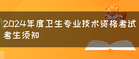 2024年度卫生专业技术资格考试考生须知(图1)